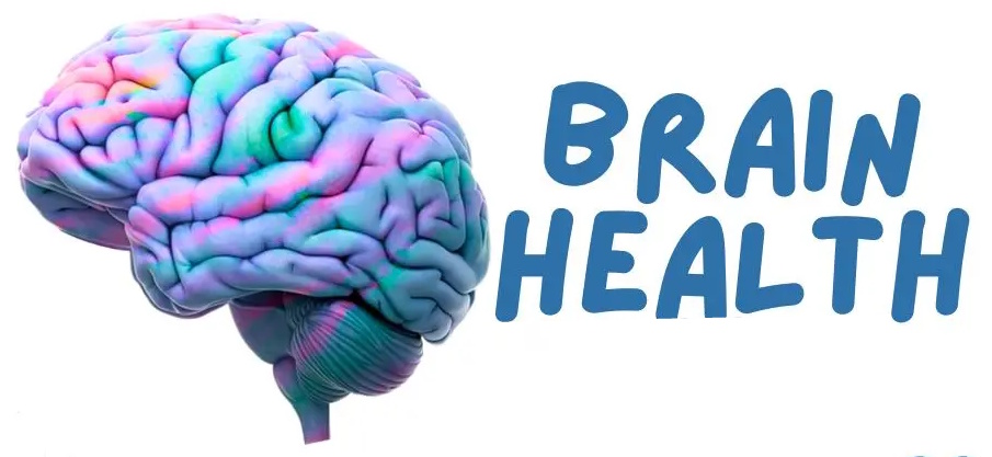 Brain Health image source: https://www.hydrocephalus.ca/health/brain-health-the-importance-of-connecting-with-others-who-understand-your-experiences/